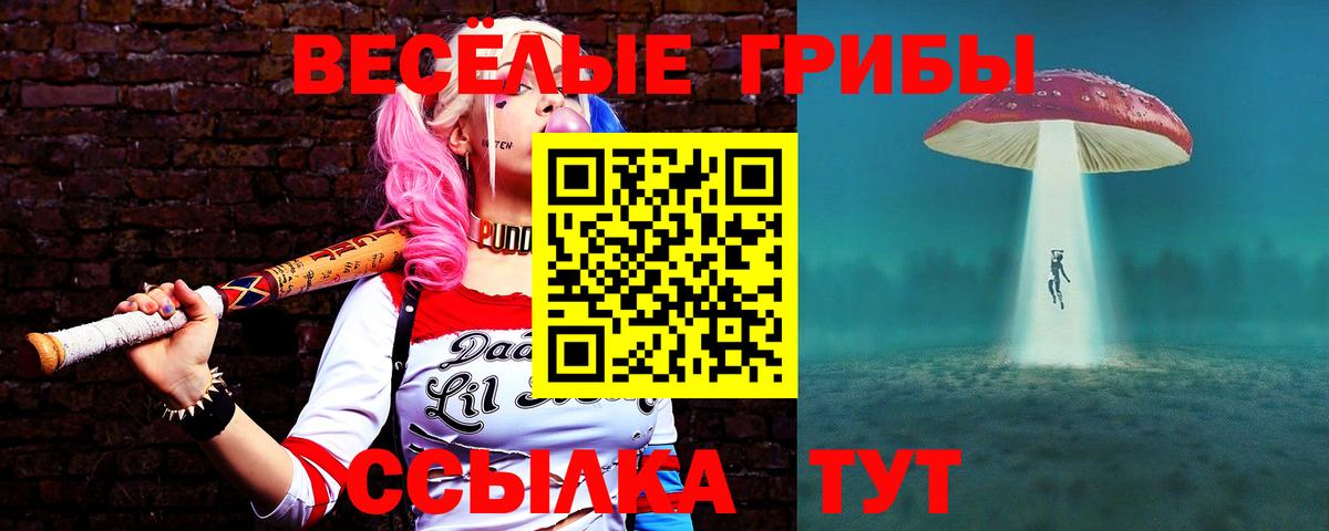 Галлюциногенные грибы Psilocybine cubensis  Вход с VPN  Астрахань  купить   Псилоцибиновые грибы MAGIC MUSHROOMS 